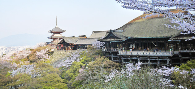 清水寺の桜の風景